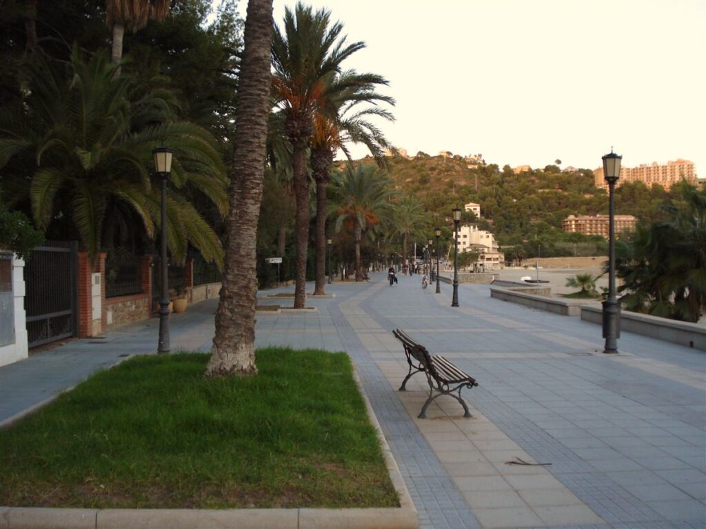 Paseo marítimo de Benicàssim con palmeras – Castellón – Comunidad Valenciana